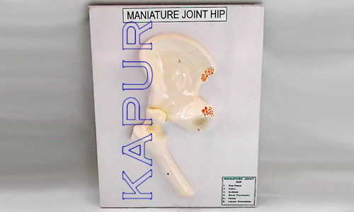 Miniature Joint Hip
