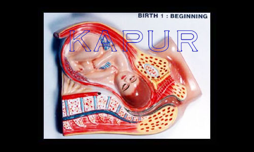 Born Baby Stage 1