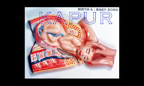 Born Baby Stage 6