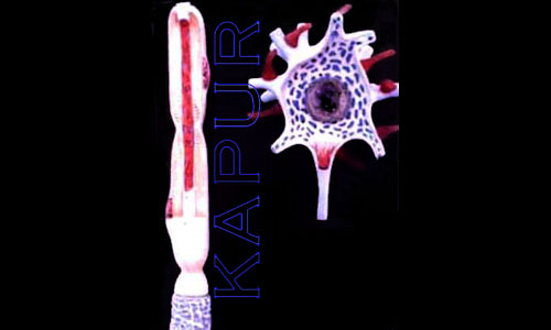 Neuron