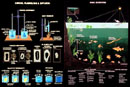Biology Charts