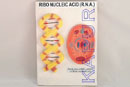 Ribonucleic Acid