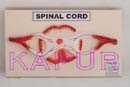 Spinal Cord