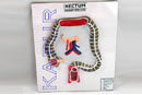 Rectum
