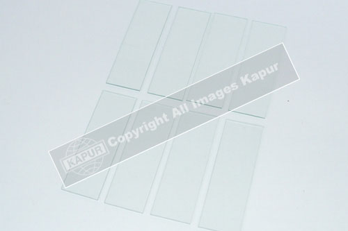 Glass Micro Slides